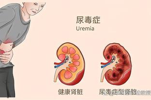 开云官网最新截图3